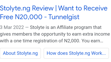 Stolyte.ng Review