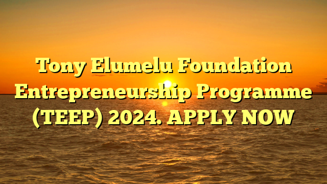 Tony Elumelu Foundation Entrepreneurship Programme (TEEP) 2024. APPLY NOW